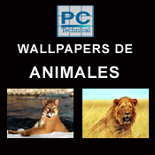 Wallpapers animales