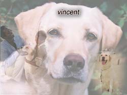 El perro Vincent