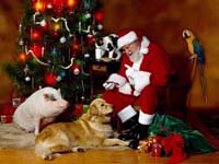 Papa Noel y animales