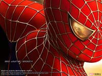 Spiderman - El hombre araa