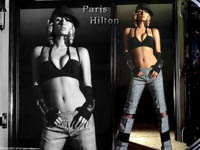 Paris Hilton's Wallpapers