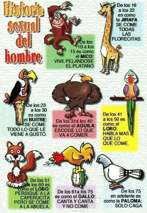 Rendimiento sexual