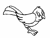 Pajarito para colorear