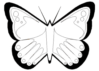 Mariposa