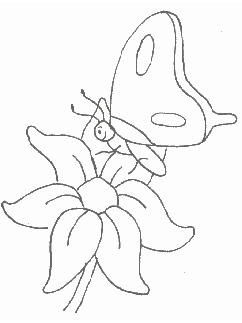 Mariposa