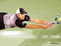 Andy Roddick